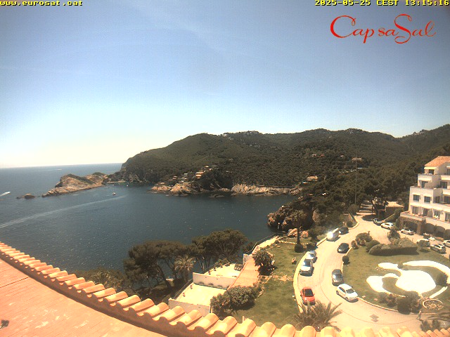 Camera Live Image