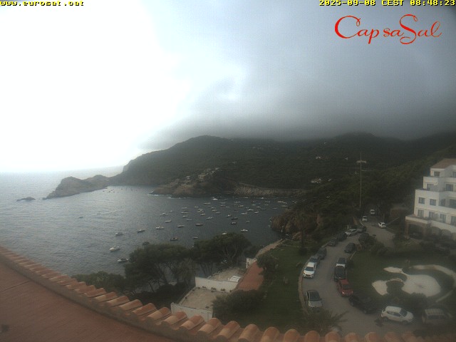 Camera Live Image