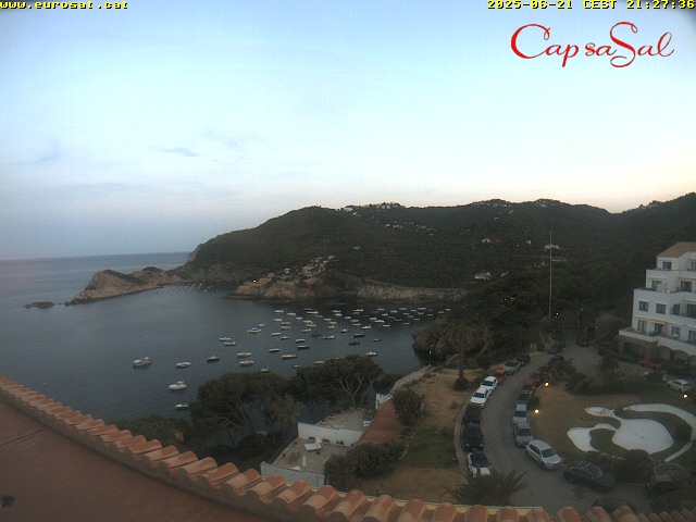 Camera Live Image