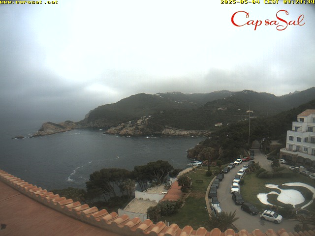 Camera Live Image