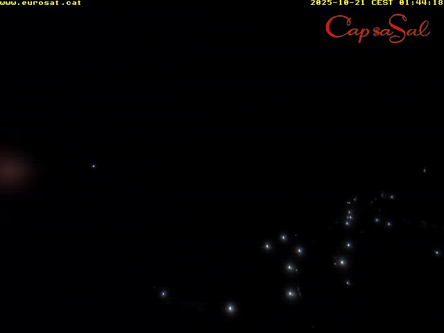 Camera Live Image