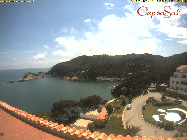 Camera Live Image